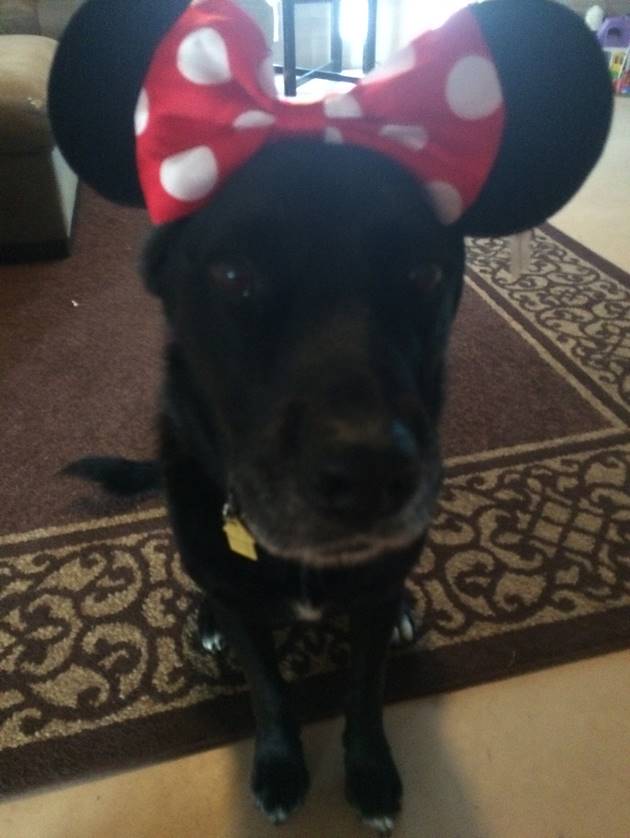 Elsa dressed up as Minnie Mouse for Halloween