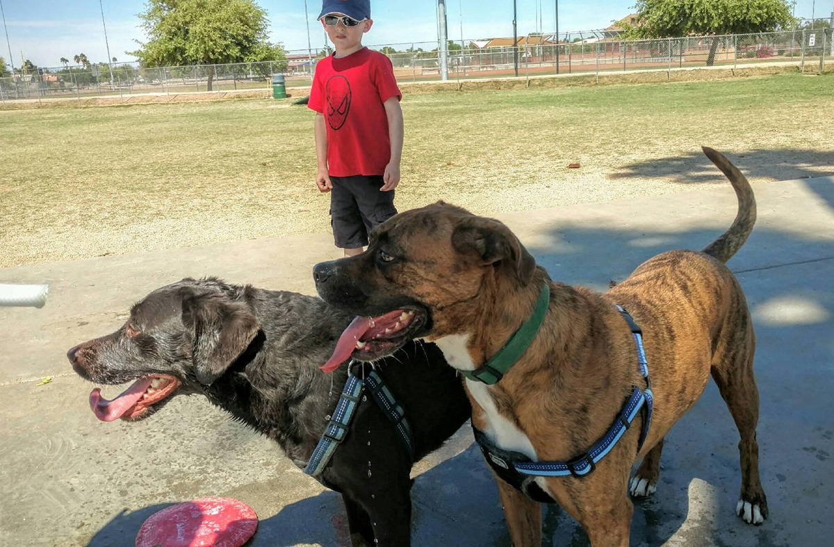 Ruki and Roscoe enjoying the park