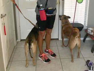 Sarah ready for a walk with her new brother!