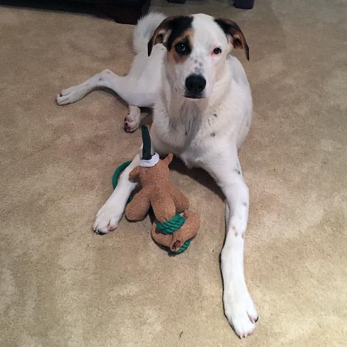 Shelby poses with one of her toys