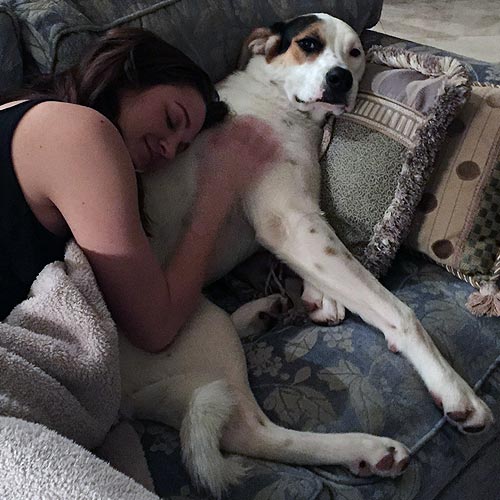 Shelby happily shares the couch and nap time