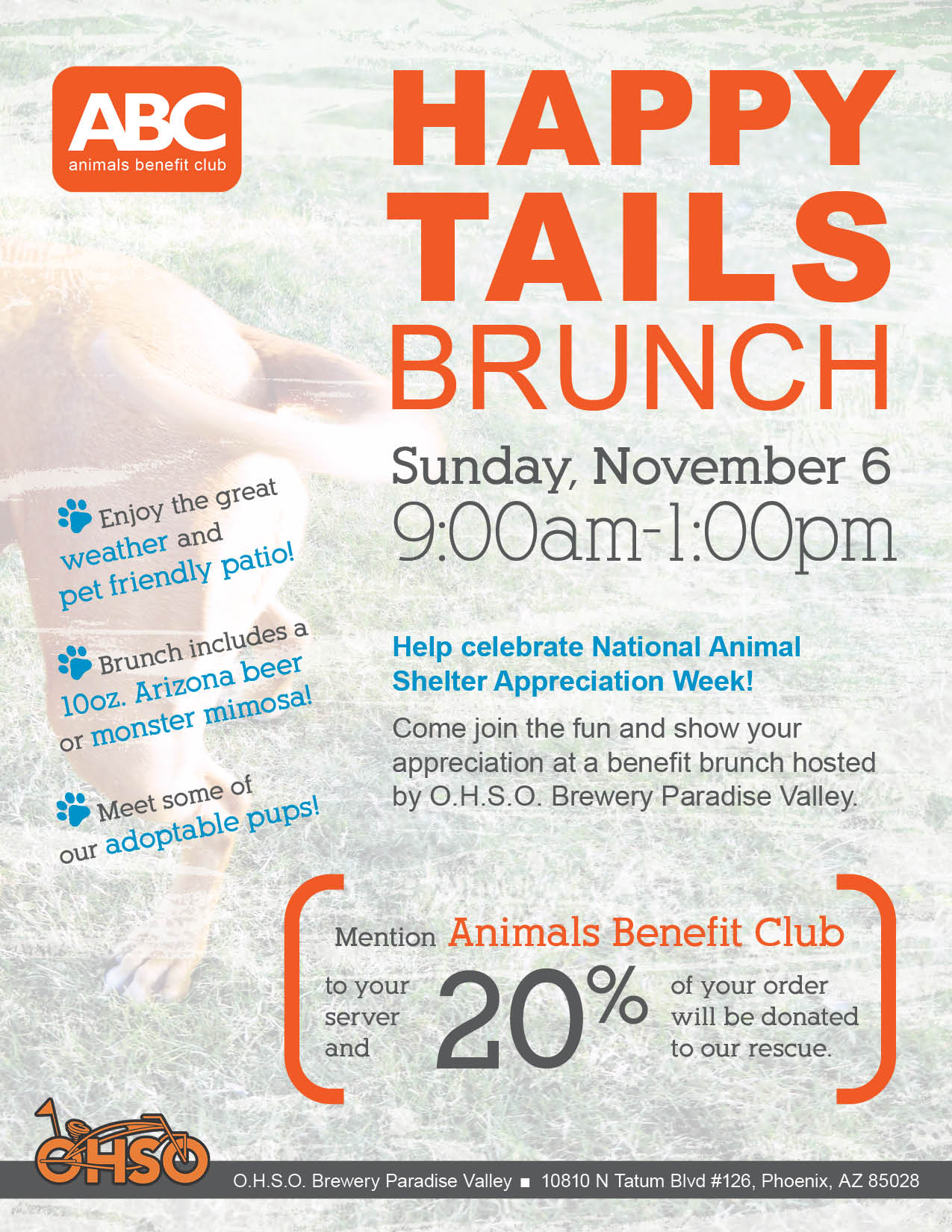 Happy Tails Brunch Flyer