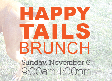 Happy Tails Brunch at OHSO Paradise Valley