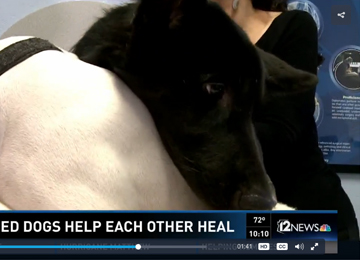 Thor and Petunia help each other heal