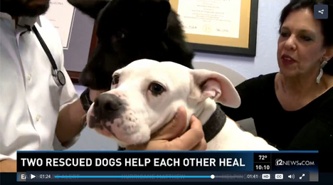 Thor and Petunia help each other heal