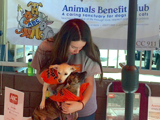 A dedicated ABC volunteer with doxie puppies Uma and Olivia (available to adopt!)