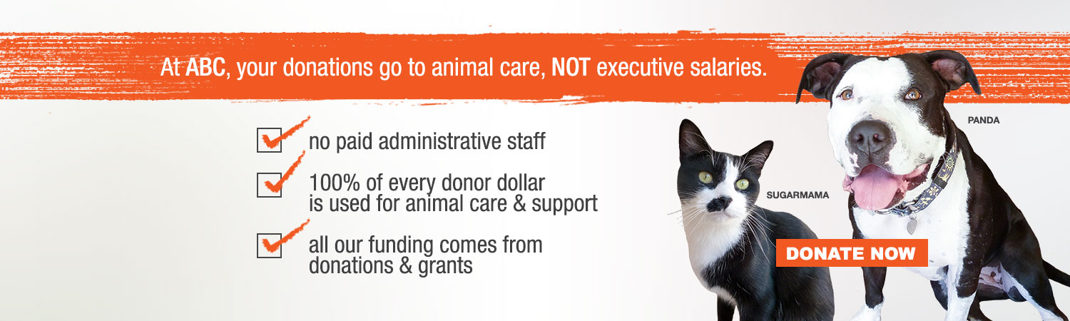 100% animal care not
