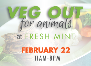 Fresh Mint Fundraiser Feb 22 11am-8pm