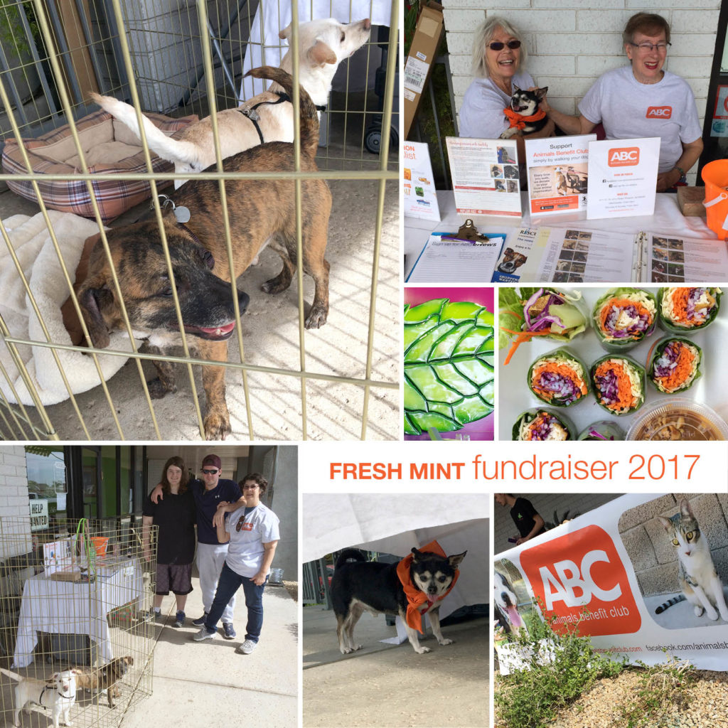 Thank you Fresh Mint - Veg Out for Animals Fundraiser 2017