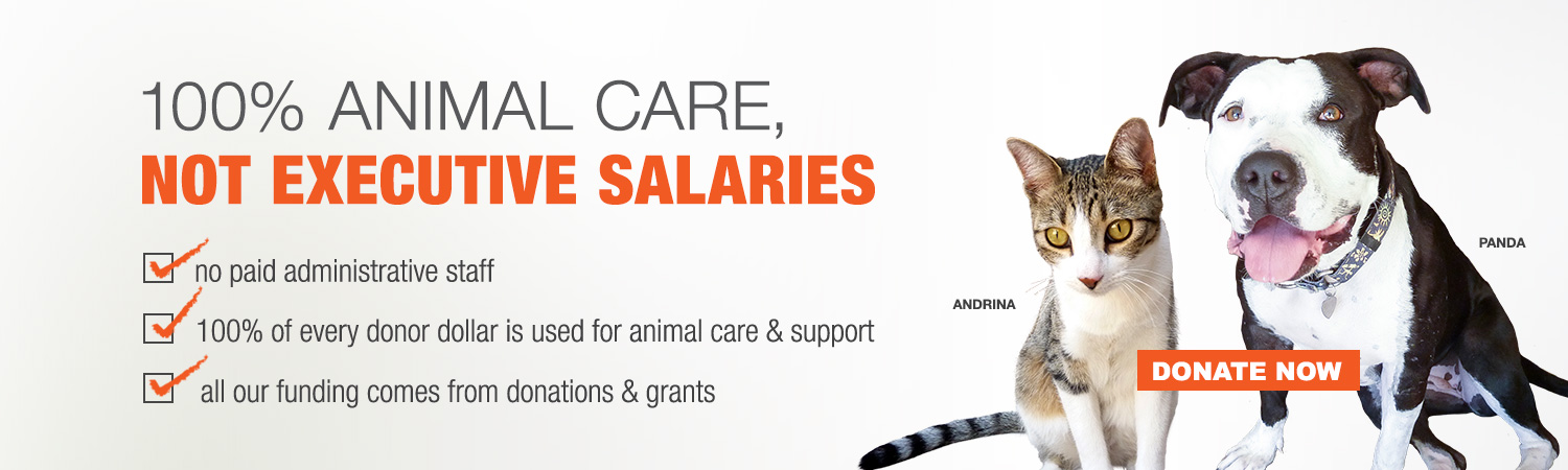 100% animal care, not executive salaries