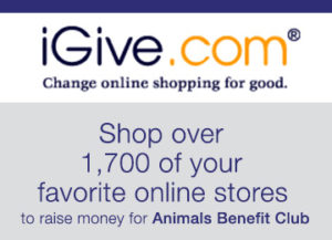 Shop iGive.com to raise money for ABC.