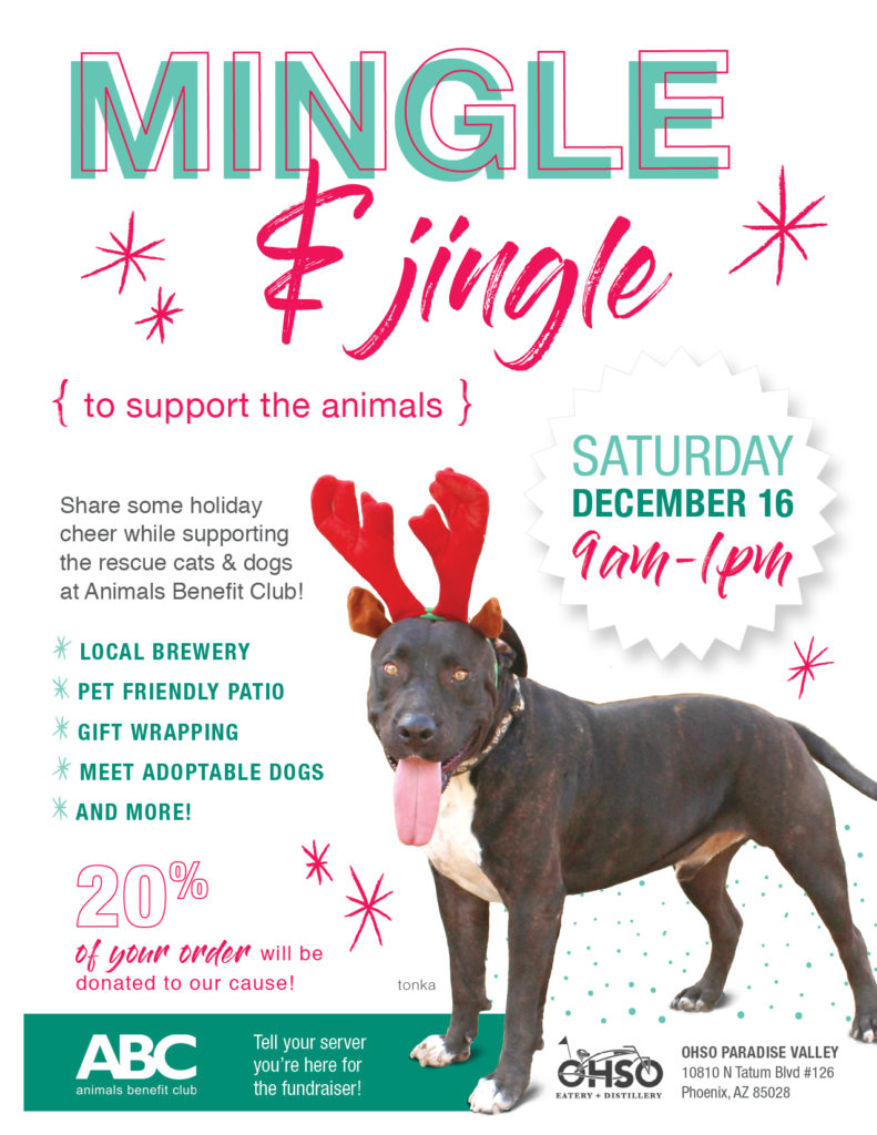 Click to download the Mingle & Jingle flyer