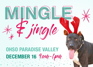 Mingle & Jingle Fundraiser on December 16