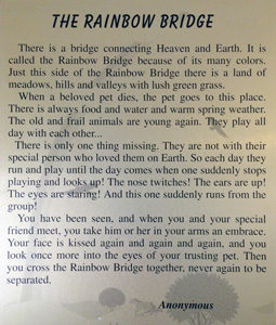 Rainbow Bridge Poem for Delilah