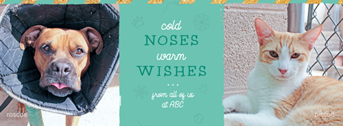 Cold Noses, Warm Wishes Cover
