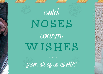 Cold Noses, Warm Wishes from all of us at ABC!