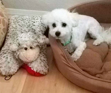 Buttons with her favorite stuffed toy!