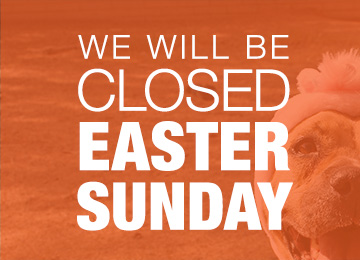 ABC will be closed Easter Sunday